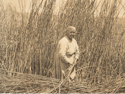 GATHERING TULES – LAKE POMO EDWARD CURTIS NORTH AMERICAN INDIAN PHOTO